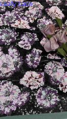 Tulle de malha de tecido bordado de 49 polegadas floral para uso feminino