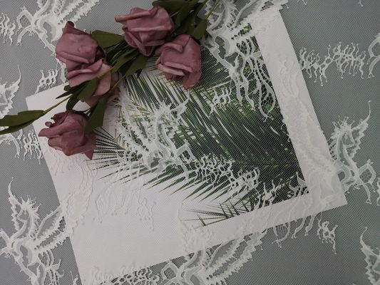 Tela nupcial do vestido de casamento da tela branca de pouco peso do laço de Chantilly