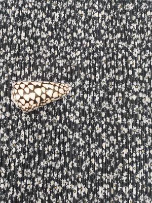 Crisântemo Mesh Pleated Lace Fabric impresso poliéster 100%