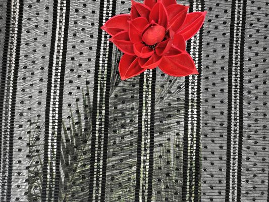 Tela do laço de Mesh Pleated Dot Embroidery Striped
