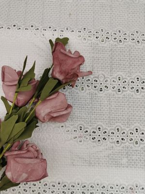 O Broderie linear bordado provê a tela 100% da camiseta do algodão da tela