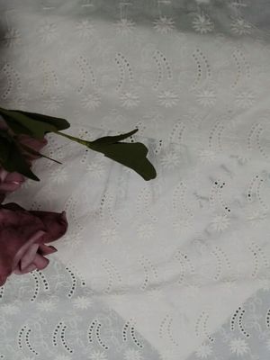 O laço macio bordou o pano de algodão da tela do ilhó para o vestido de partido